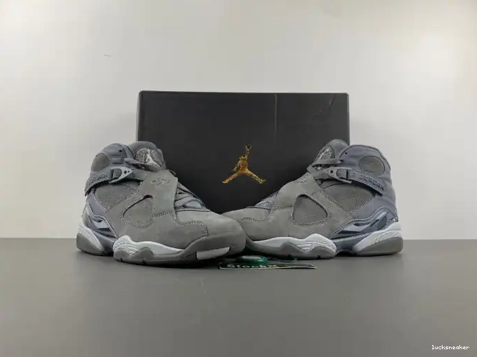Reps LUCY 8 Retro Cool Jordan Grey 305381-014 0521